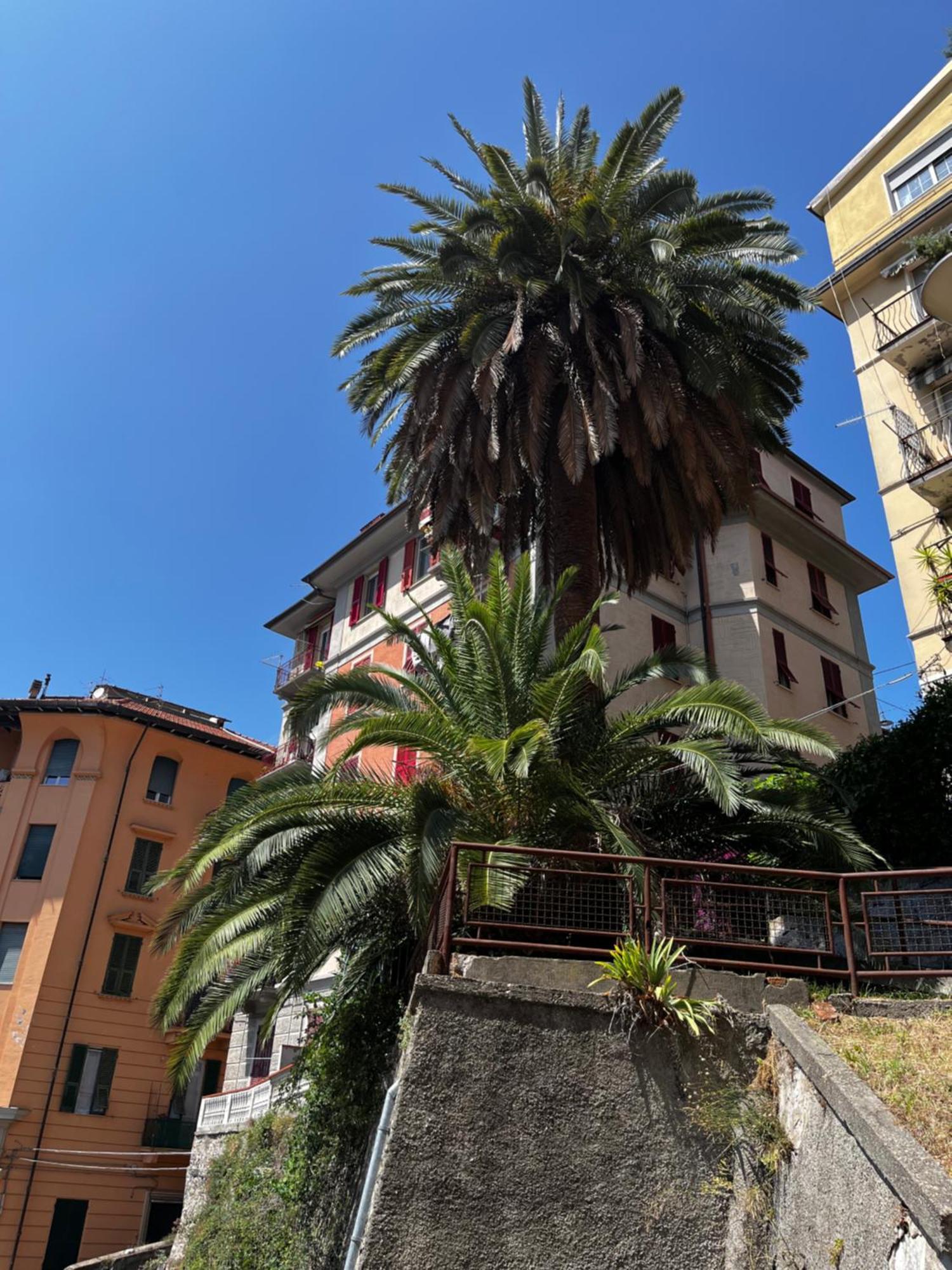 Donna Lucrezia Daire La Spezia Dış mekan fotoğraf